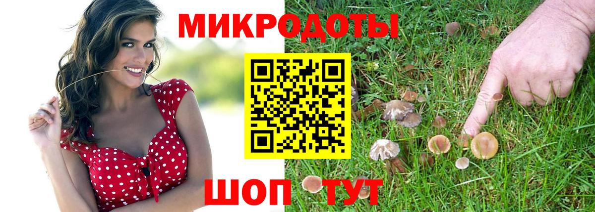 Псилоцибиновые грибы ЛСД  Галлюциногенные грибы Magic Shrooms  Шадринск  продажа наркотиков  Вход с VPN 
