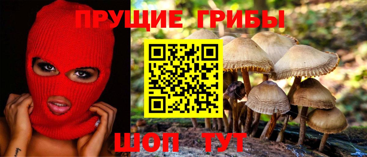 Галлюциногенные грибы Psilocybe Шадринск